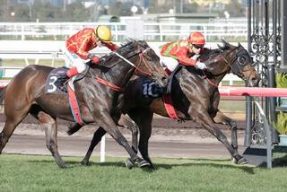 Ruettiger (NZ) wins the Listed All Victorian Series Final at Flemington. Photo Credit: Grant Courtney.